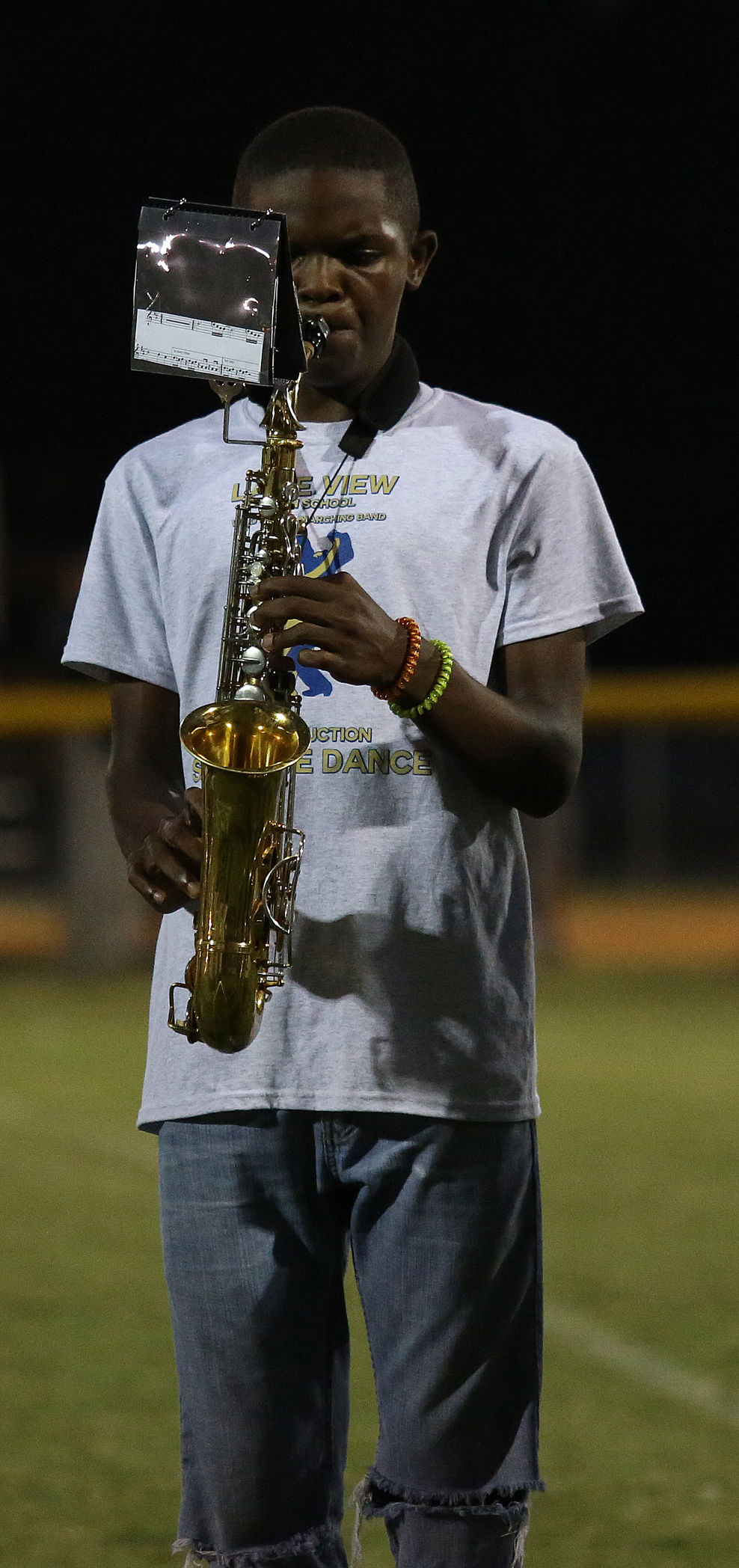 Lake View Band